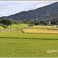 長富大橋-2020-06-03.jpg