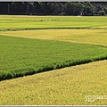 長富大橋-2020-06-02.jpg