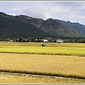 長富大橋-2020-06-12.jpg