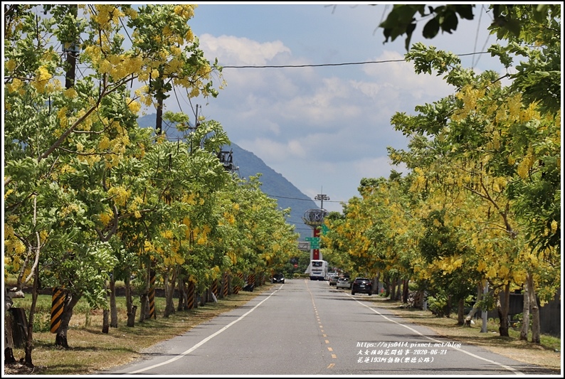 花蓮193阿勃勒(樂德公路)-2020-06-10.jpg