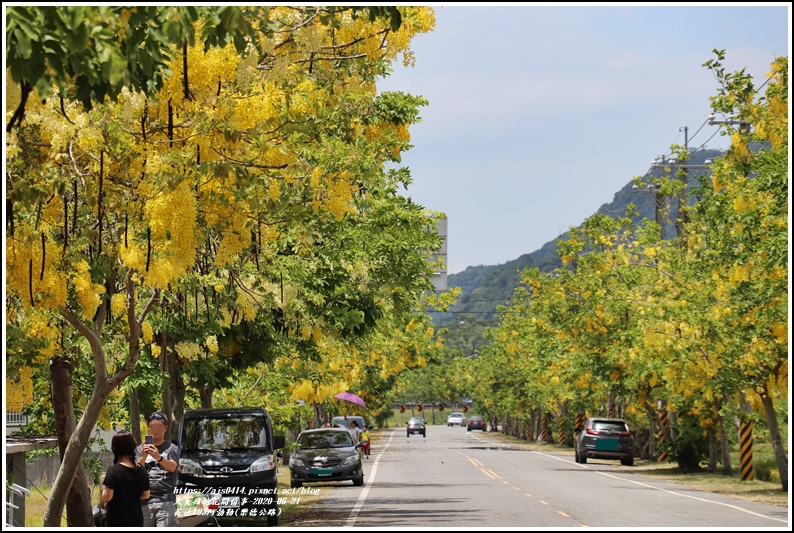 花蓮193阿勃勒(樂德公路)-2020-06-11.jpg