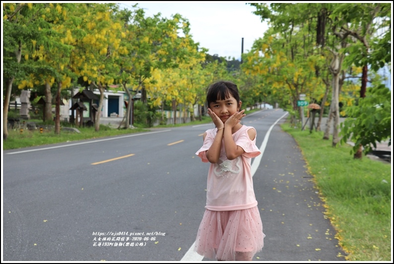 花蓮193阿勃勒(樂德公路)-2020-06-33.jpg