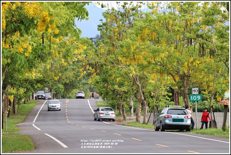 花蓮193阿勃勒(樂德公路)-2020-06-36.jpg