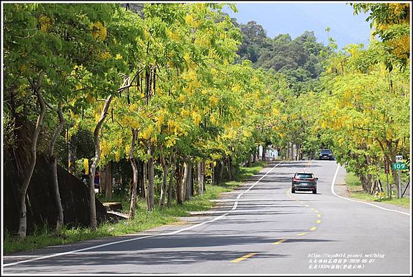 花蓮193阿勃勒(樂德公路)-2020-06-38.jpg