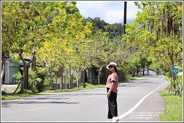 花蓮193阿勃勒(樂德公路)-2020-06-67.jpg