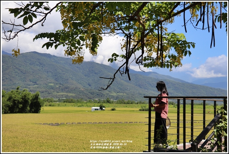 花蓮193阿勃勒(樂德公路)-2020-06-66.jpg