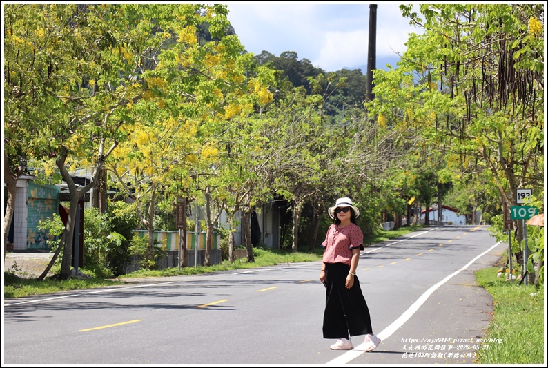 花蓮193阿勃勒(樂德公路)-2020-06-68.jpg