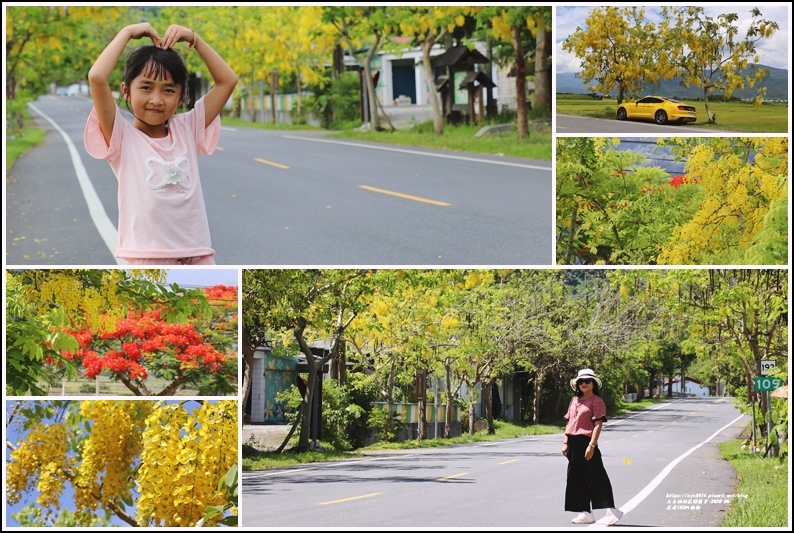 花蓮193阿勃勒(樂德公路)-2020-06-75.jpg