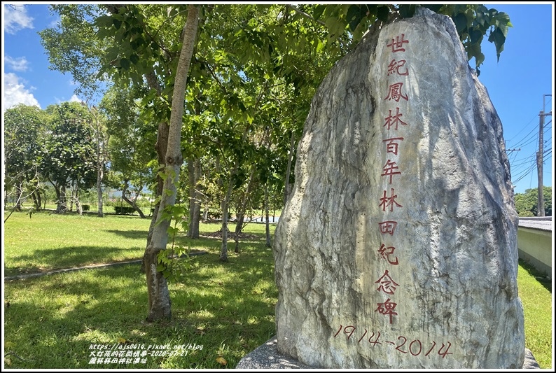 鳳林林田神社-2020-07-36.jpg