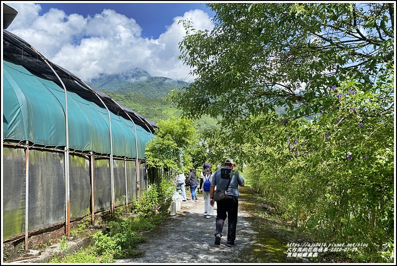 青陽蝴蝶農園-2020-07-02.jpg