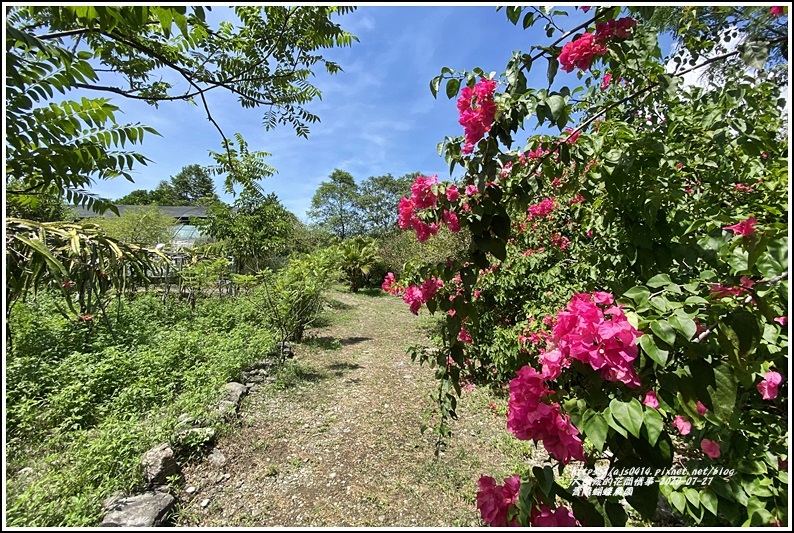 青陽蝴蝶農園-2020-07-24.jpg