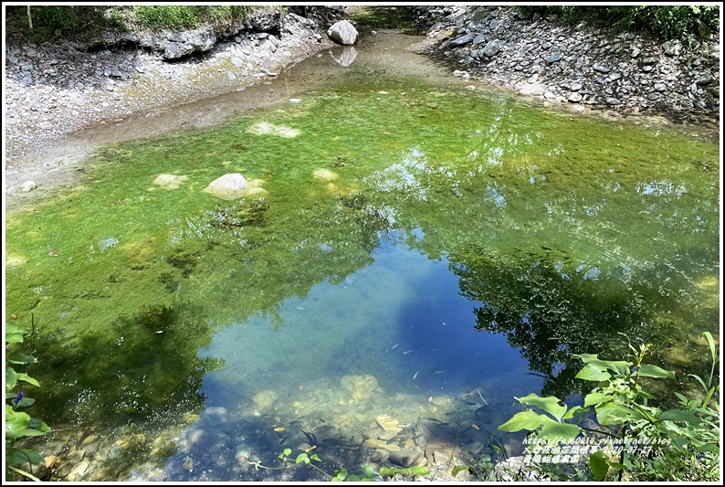 青陽蝴蝶農園-2020-07-30.jpg