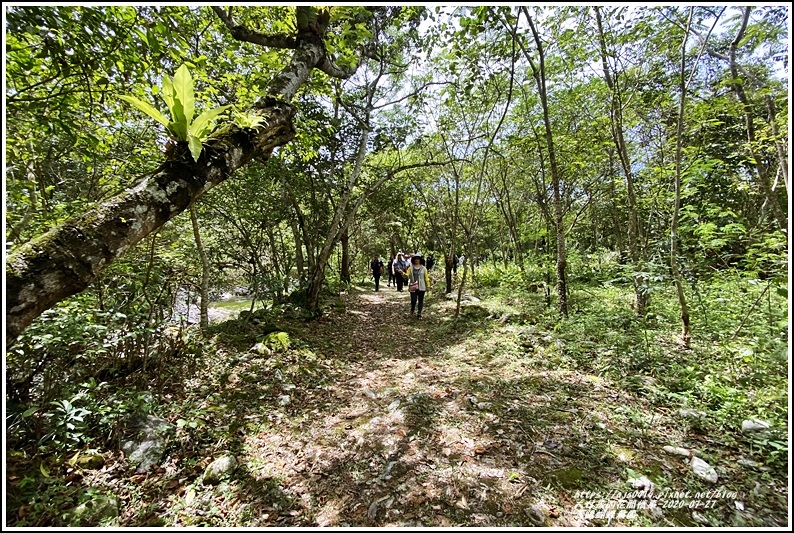 青陽蝴蝶農園-2020-07-33.jpg