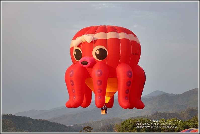臺灣國際熱氣球嘉年華(鹿野高台)-2020-08-16.jpg 臺灣國際熱氣球嘉年華(鹿野高台)-2020-08-16.jpg