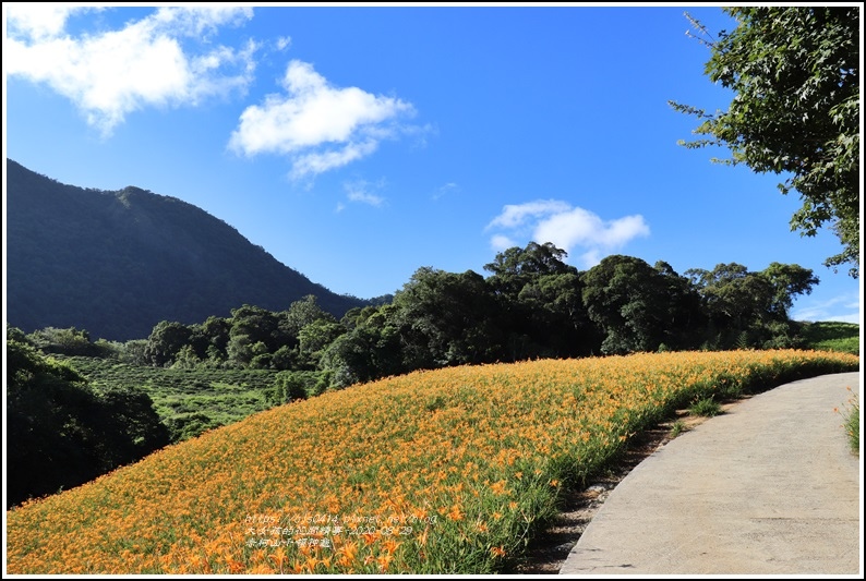 赤柯山千噸神龜-2020-08-07.jpg