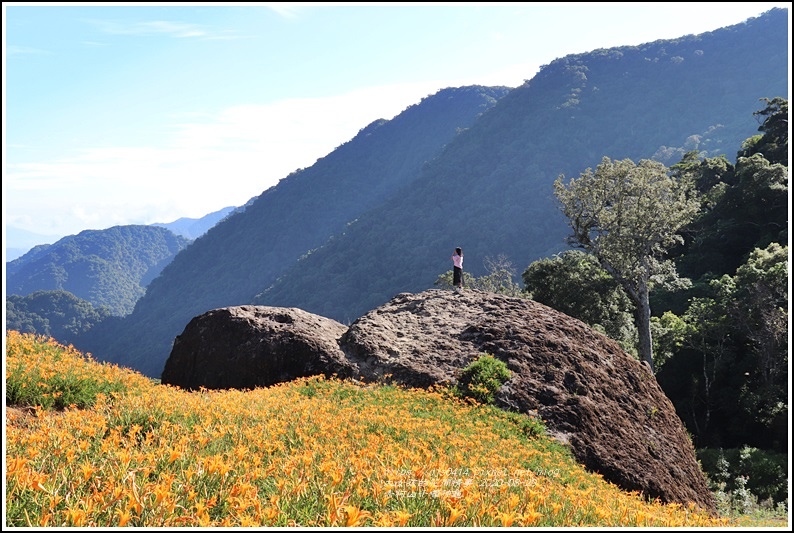 赤柯山千噸神龜-2020-08-05.jpg