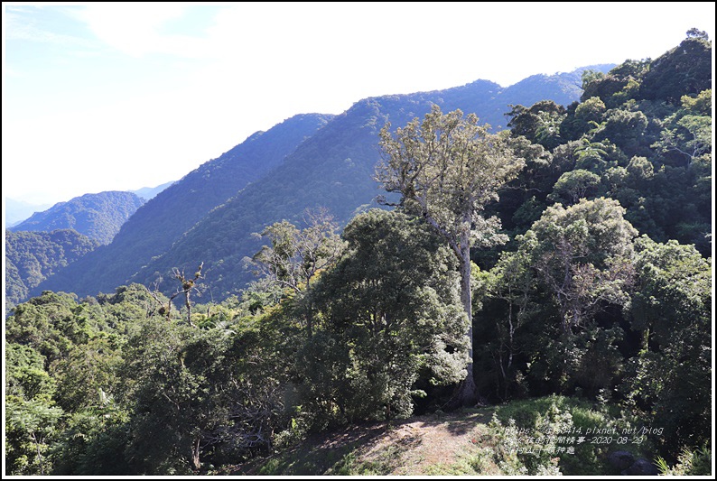 赤柯山千噸神龜-2020-08-16.jpg