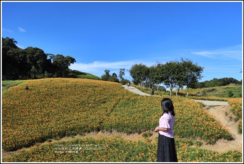 赤柯山千噸神龜-2020-08-14.jpg