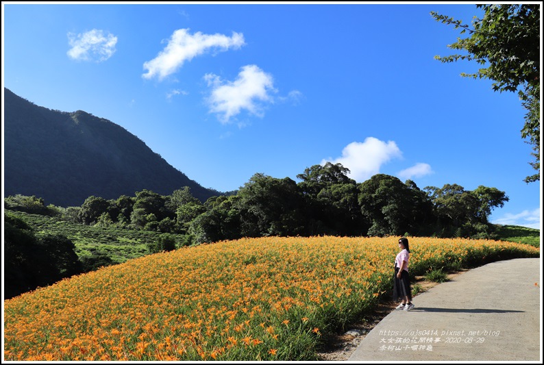 赤柯山千噸神龜-2020-08-11.jpg