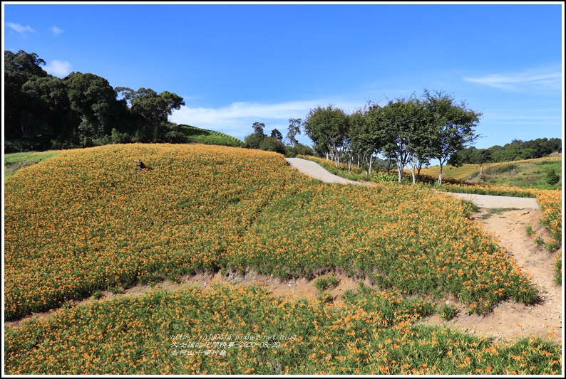 赤柯山千噸神龜-2020-08-13.jpg