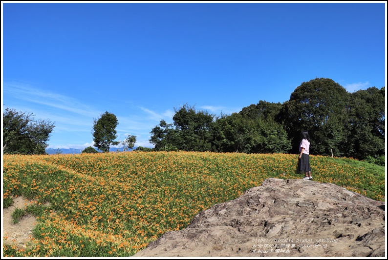 赤柯山千噸神龜-2020-08-18.jpg