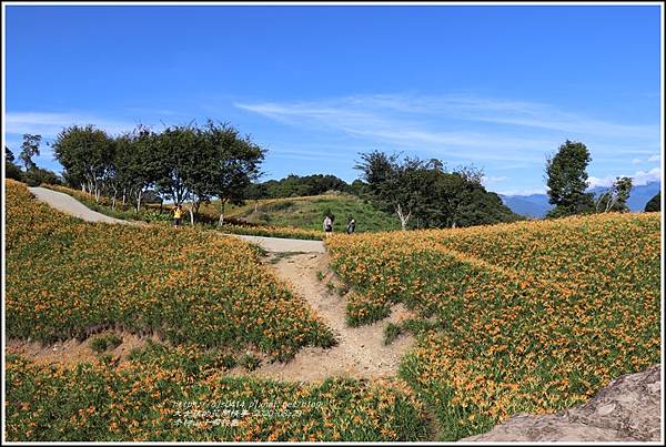 赤柯山千噸神龜-2020-08-17.jpg