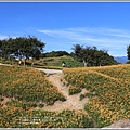 赤柯山千噸神龜-2020-08-17.jpg