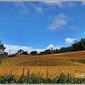 赤柯山汪家古厝-2020-08-02.jpg