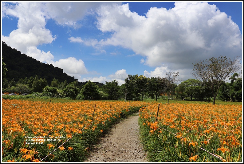 赤柯山汪家古厝-2020-08-05.jpg