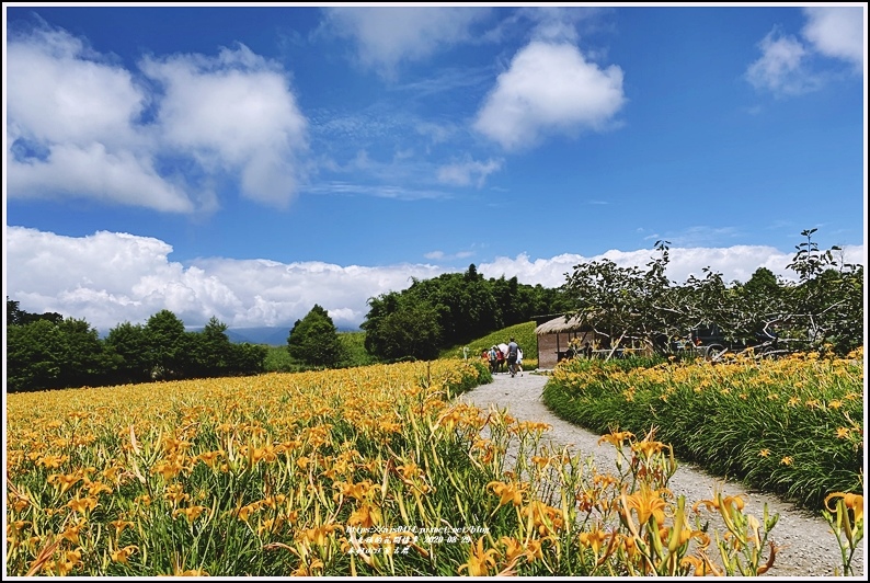 赤柯山汪家古厝-2020-08-13.jpg