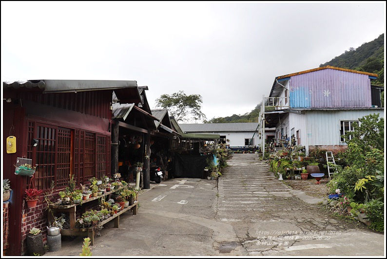 赤柯山加蜜園-2020-08-04.jpg