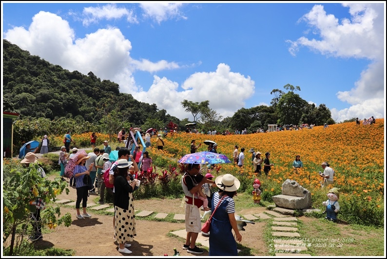 赤柯山林家園-2020-08-20.jpg