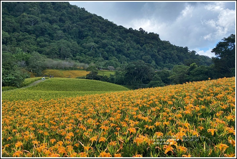 赤柯山林家園-2020-08-10.jpg