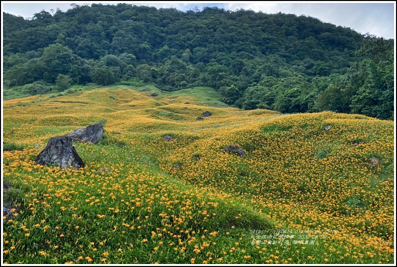 赤柯山黎園農園-2020-08-02.jpg