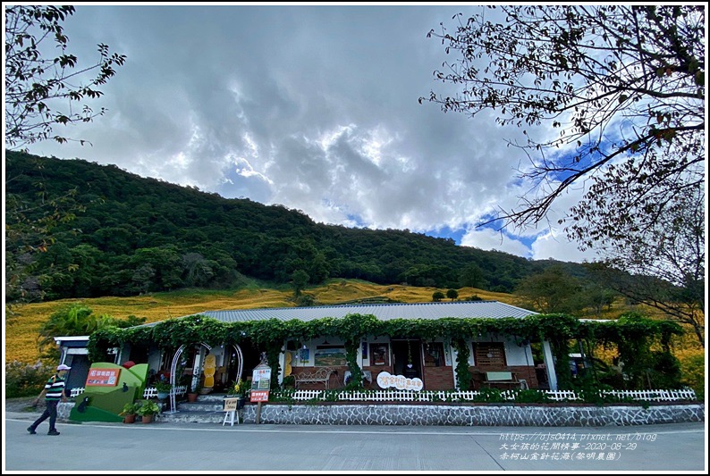 赤柯山黎園農園-2020-08-03.jpg