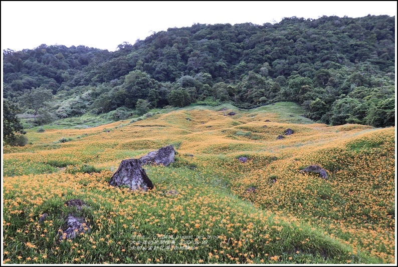 赤柯山赤柯驛站-2020-08-04.jpg