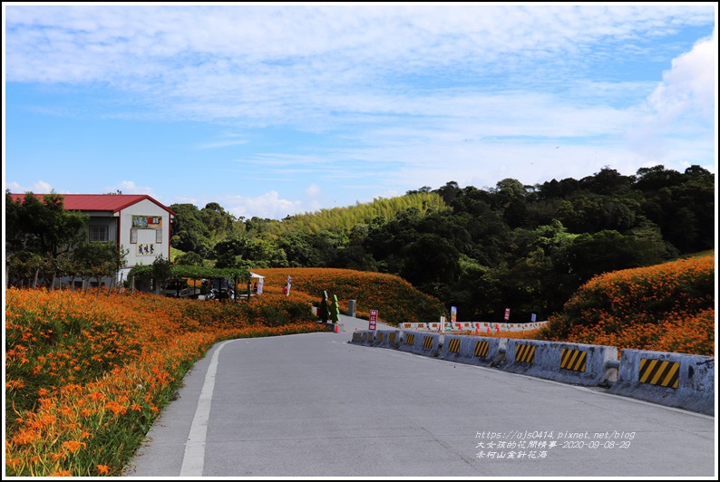 赤柯山小瑞士農場-2020-08-02.jpg