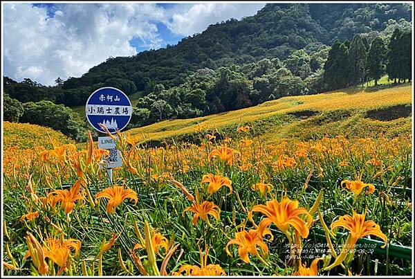 赤柯山小瑞士農場-2020-08-20.jpg