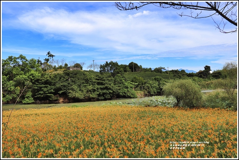 玉里東豐竹林湖-2020-09-09.jpg