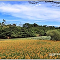 玉里東豐竹林湖-2020-09-09.jpg