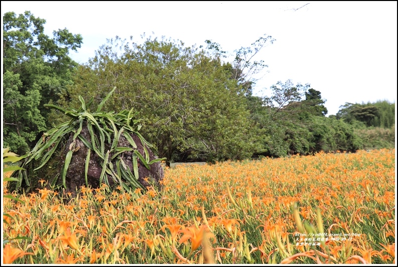 玉里東豐竹林湖-2020-09-22.jpg