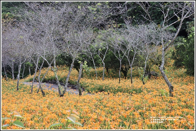 玉里東豐竹林湖-2020-09-25.jpg