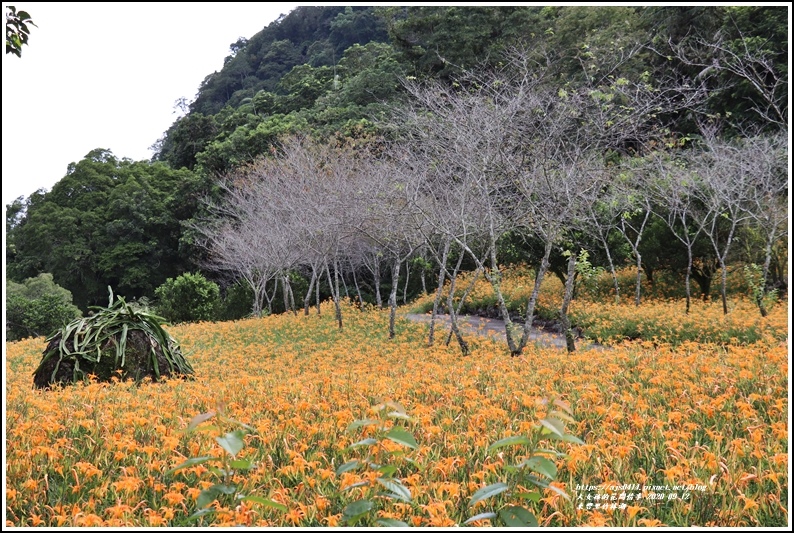 玉里東豐竹林湖-2020-09-24.jpg