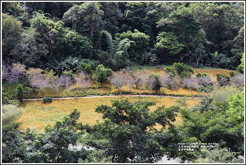 玉里東豐竹林湖-2020-09-43.jpg