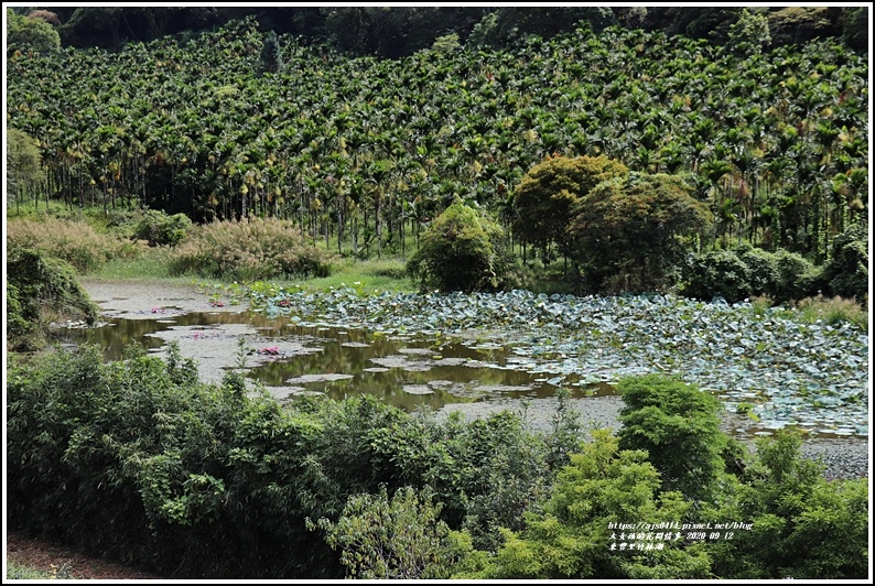 玉里東豐竹林湖-2020-09-45.jpg