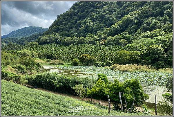 玉里東豐竹林湖-2020-09-46.jpg