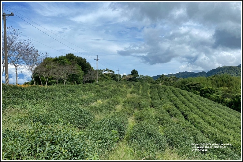 玉里東豐竹林湖-2020-09-47.jpg