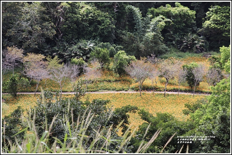 玉里東豐竹林湖-2020-09-61.jpg