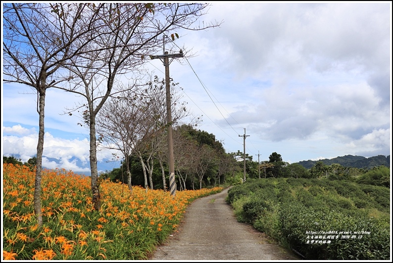 玉里東豐竹林湖-2020-09-62.jpg