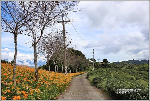 玉里東豐竹林湖-2020-09-62.jpg